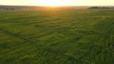 A child in a field with a Russian flag at sunset. Evening light . Summer Video stock 156447423