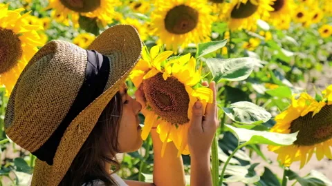 A child in a field of sunflowers. Selective focus. Stock Footage 170429862