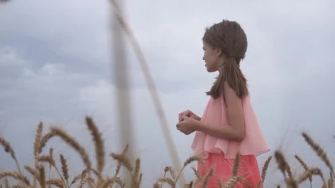Child in a field with yellow wheat Stock Footage 250225626