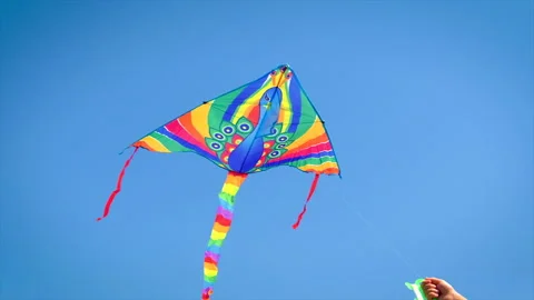 The child is flying a kite. Selective focus. Stock Footage 162231260