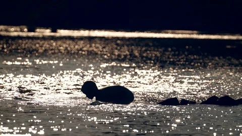 The child is fooling around in the river Vídeo Stock 94248688
