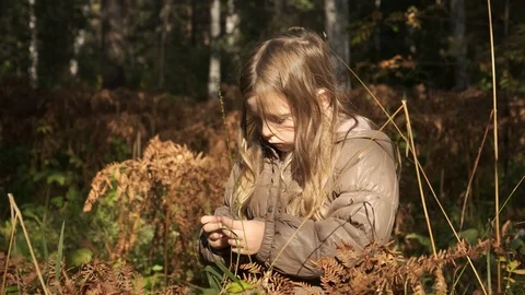 Child in Forest Walking on Log, Kid Playing in forest, Girl Outdoor Wood Stock Footage 115423007