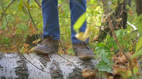 A child funny jumps on a fallen tree in the Park Video stock 68207759