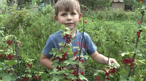 Child in the garden Stock Footage 7755049
