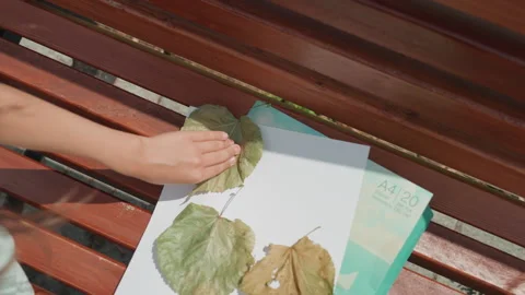 Child gently presses botanical specimens onto paper carefully. Young girl Stock Footage 331958866