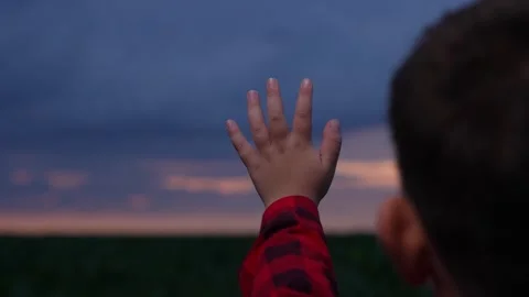 Child Gesture Clouds, Tiny Fingers Against Sky, Touching Evening Light, Young 스톡 동영상 313205332