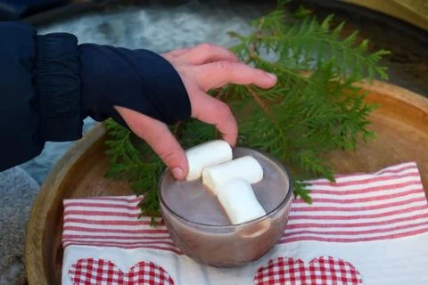 The child gets marshmallows and cups of cocoa. Stock Photos