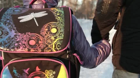 Child goes to school Stock Footage 10861529