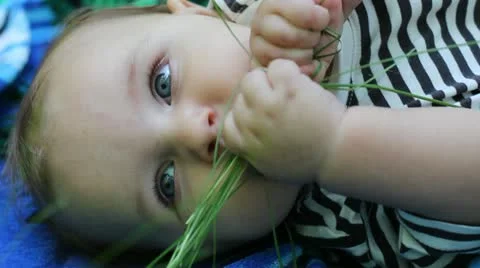 A child with a grass Video stock 11149111