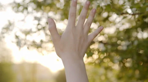 Child hand catches the sunlight in summer Stock Footage 63762091