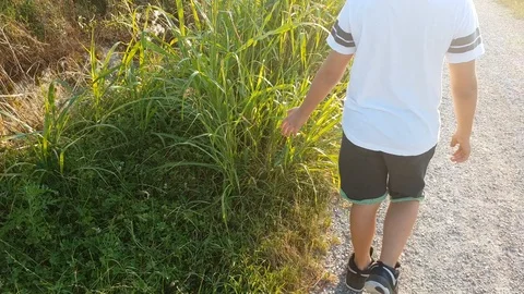 Child with hand in grass Stock Footage 91943739