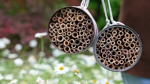Child hand holds two handmade bug hotels made from upcycled rusty food cans. Stock Footage 281857724