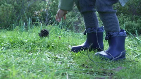 Child Hand Picking Up a Tree Branch in Forest Close Up - Nature Discovery Series Vídeos de archivo 326171108