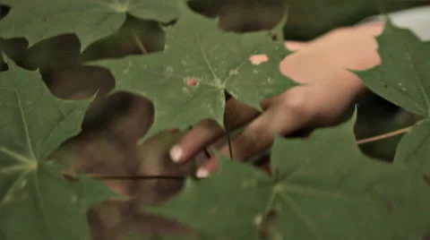 CHILD HAND TAPPING LEAVES Stock Footage 68755871