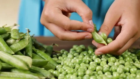 Child hands shelling peas Stock Footage 77716902