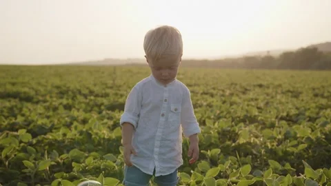 Child, a handsome boy plays in a field in the summer, he catches blowing soap Vídeo Stock 166337406