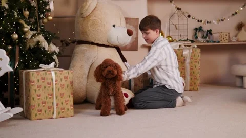 A child happily plays with a poodle while sitting next to a Christmas tree. Stock Footage 293249750