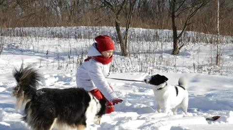 Child having fun playing with the dogs in the winter park Stock Footage 34814972