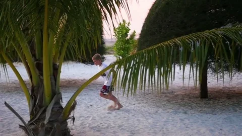 The child having fun runs around palm on the shore of a tropical sea Vidéo 74894193
