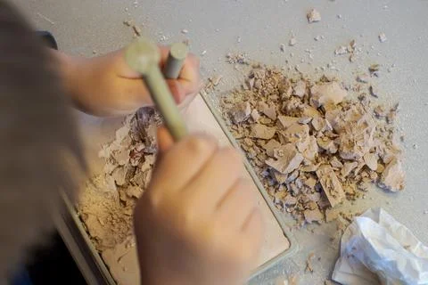 A child with the help of a geologist's kit extracts a jasper in a plaster cas Stock Photos