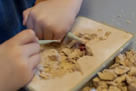 A child with the help of a geologist's kit extracts a jasper in a plaster cas Stock Photos