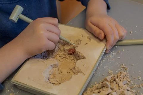 A child with the help of a geologist's kit extracts a jasper in a plaster cas Stock Photos