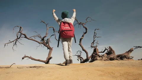 Child hiking on mountain Stock Footage 134853740