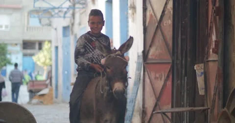 Child with his donkey Stock Footage 58659418