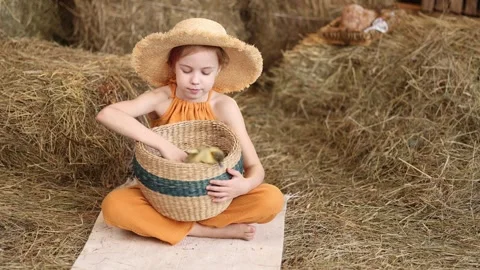 Child holding a basket of ducks Stock Footage 246007048