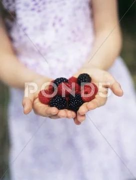 Child holding berries Stock Photos
