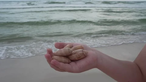 Child holding lettered olive seashells on a Florida beach with ocean waves 스톡 동영상 345689609