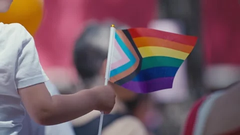 Child Holding Progress Pride Flag at Parade Stockbeeldmateriaal 309511251