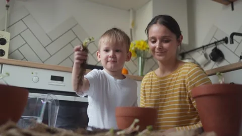 Child holding seedling in hands while his mother trims the roots of the seedling Stock Footage 331438228