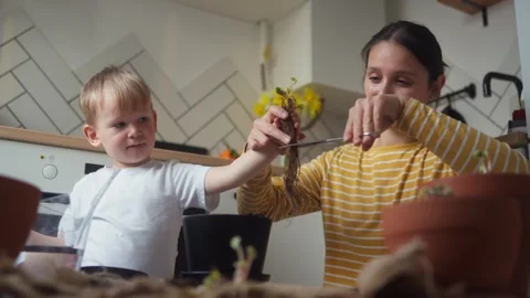 Child holding seedling in hands while his mother trims the roots Stock Footage 331438928