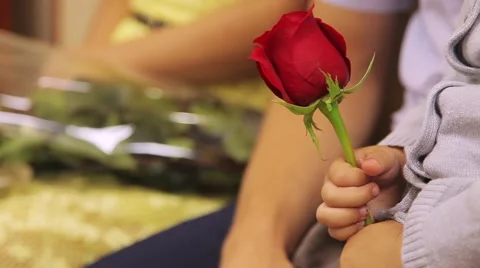 Child holding a single red rose Stock Footage 55572199
