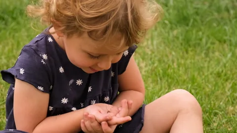 A child holds a ladybug in the garden. Selective focus. Stock Footage 257423983