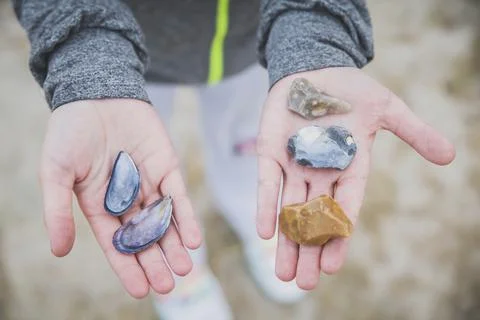 Child holds the shells and multi-colored stones on the seashore Stock Photos