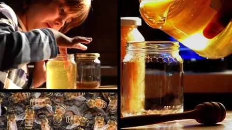 Child, honey, bees Stock Footage 50389905