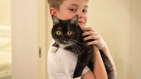 Child hugs cat tightly while curious cats attention drifts elsewhere. Despite Stock Footage 271625435