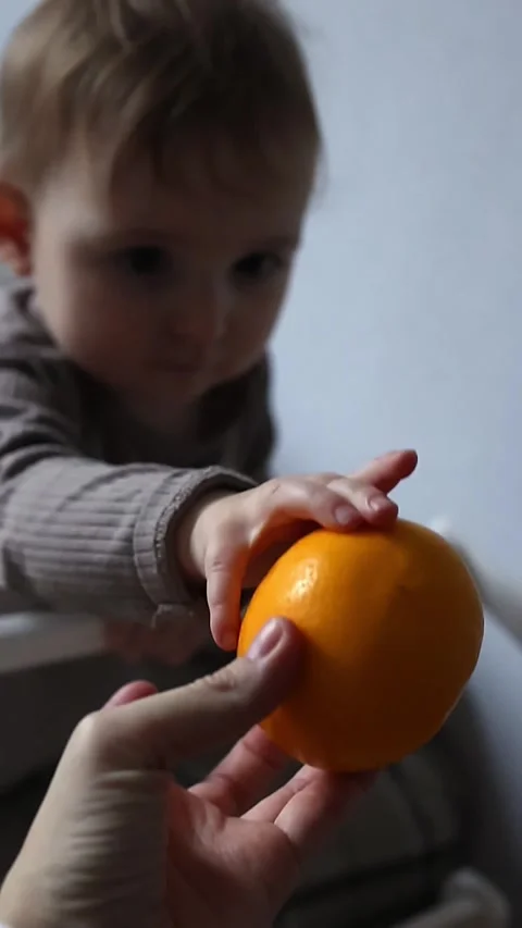 Child interacting with orange fruit in cozy indoor setting Stock Footage 299894541