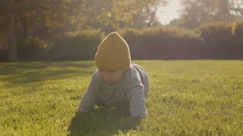 Child joyfully crawling on the grass in a sunlit park during the afternoon Stock Footage 303548119