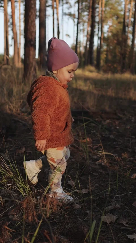 A Child Joyfully Exploring the Beautiful Nature of an Autumnal Forest Video stock 310249252