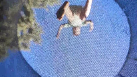 Child jumping on trampoline seen from below Stock Footage 252191314