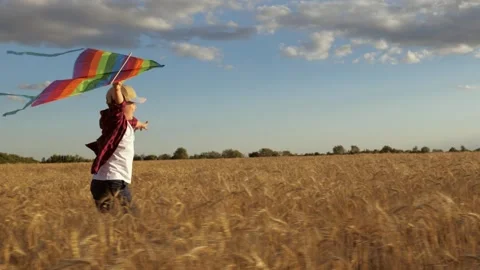 Child kid Boy run flying kite wheat field, child playing sunset, Child kid Boy r Stock Footage 334836770