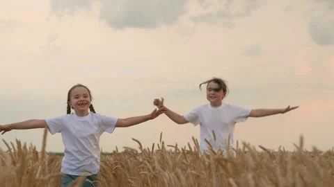 Child kid fun running on wheat field, rural children life. happy family, many Stock Footage 306975288