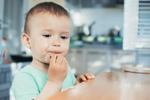 The child in the kitchen eating bread Stock Photos
