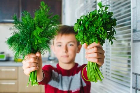 The child in the kitchen with herbs Stock Photos