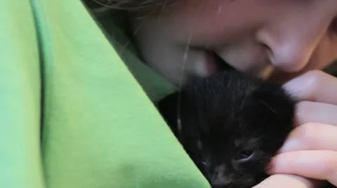 Child with kitten Stock Footage 22664511