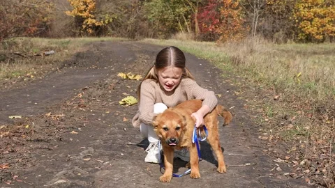 A child in knitted brown clothes hugs golden brown dog. Friends forever.  Stock Footage 311675448