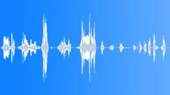 Child laughing and gigglingSound Effect